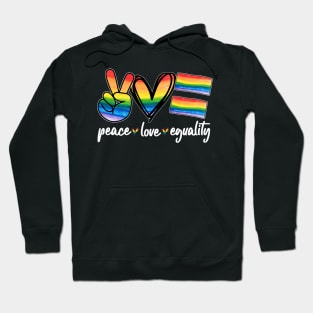 peace love equality LGBT pride Hoodie